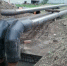 Рыцари брянских подвалов обнажились - Газета Брянские новости