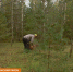 27 gribnik - ГТРК