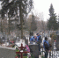 В Брянске на Центральном кладбище кронировали 85 деревьев - БрянскToday.Ru