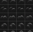 https://www.nasa.gov/sites/default/files/thumbnails/image/asteroidjo25-20170418.png - ИА Наш Брянск.ru