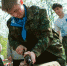 Брянцы присоединятся к всероссийскому военно-историческому квесту - Vbryanske.Com