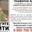 Брянские волонтеры ищут пропавшего в Липецкой области 4-летнего мальчика - БрянскToday.Ru