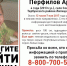 Брянские добровольцы присоединились к поискам 4-летнего мальчика - Брянский объектив