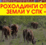 Против лома нет приёма? Крупные агрохолдинги отнимают земли у СПК «Родина» - КПРФ