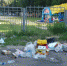 Жителей Брянска возмутило свинство торговцев на площади Партизан - Газета Брянские новости