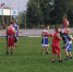 boks - Sport-32.ru