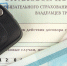 Проверено на себе: как не получить полис ОСАГО - Vbryanske.Com