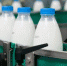 Молочная продукция с растительным жиром в брянских магазинах получит новую упаковку - Брянский объектив