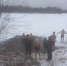В Брянске первый снег отметили купанием в ледяной воде - БрянскToday.Ru