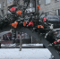 В Брянске на Московском проспекте появились новогодние «клумбы» - Газета Брянские новости