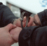 В Брянске 21-летний парень ограбил собутыльника и угнал велосипеды - ИА Наш Брянск.ru