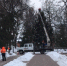 В Брянске главную новогоднюю ёлку убрали из Круглого сквера - Газета Брянские новости