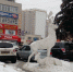В Брянске разрушаются легендарные скульптуры лосей - БрянскToday.Ru