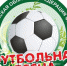 Четыре матча “Футбольной весны” прошли на стадионе “Партизан” - Sport-32.ru