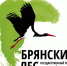 В заповеднике «Брянский лес» заготовят веники для копытных - БрянскToday.Ru