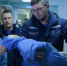 Истощенного ребенка из брянского детдома отправили в Москву - Газета Брянские новости