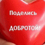 В Брянске стартует неделя добра - Vbryanske.Com