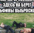 Ночную торговлю настойкой боярышника в российских аптеках могут запретить - Газета Брянские новости