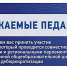 Брянских педагогов приглашают принять участие во всероссийском опросе - Брянская Учительская газета