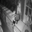 В Дятькове сняли на видео кражу в павильоне «Счастливая пекарня» - БрянскToday.Ru
