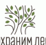 Анонс - Управление лесами