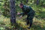 Анонс