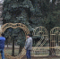 Город Стародуб украсили новогодней инсталляцией «2020» - Брянская Учительская газета