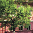 В Брянске вспомнили, как продавали историческое здание, сгоревшее сегодня дотла - Брянская улица