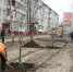 На Авиационной в Брянске высадили каштаны и липы - Брянская улица