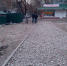 Новые мусорные площадки не избавили Брянск от крыс - Брянская улица