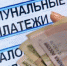Учреждения соцзащиты в Брянске перешли на удаленный режим работы из-за коронавируса - Брянская Учительская газета