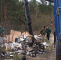 Под Брянском в лесу убрали громадную свалку мусора - БрянскToday.Ru