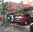 В Брянске на двух улицах на припаркованные автомобили рухнули деревья - Газета Брянские новости