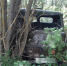 На брянской трассе пенсионер на UAZ Hunter протаранил дерево и погиб - БрянскToday.Ru