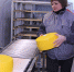 Брянская область вошла в число лидеров по производству сыра и молока - Газета Брянские новости