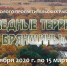 Дан старт конкурс «Заповедные территории Брянщины» - Брянский лес