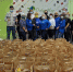 Брянские добровольцы для малоимущих и стариков собрали 100 продуктовых наборов - БрянскToday.Ru