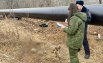 Рабочие нашли у теплотрассы человеческий череп
