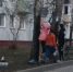 Жительницу Клинцов разозлили добытчики березового сока - БрянскToday.Ru