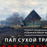 Весенние палы сухой травы - ежегодная беспечность граждан - МЧС