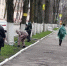 Работники Брянской горадминистрации наводят порядок на улице Горького - Брянская Учительская газета