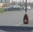 Под Брянском люксовый Mercedes попал в ДТП - Телеканал Городской