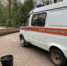 Упавший в парке Брянска исполин оказался в списке здоровых и крепких - БрянскНОВОСТИ.RU