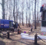 Брянские почтовики привели в порядок места воинских захоронений - Брянская Учительская газета