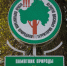 В Брянске компания захватила памятник природы под парковку - Go32.Ru