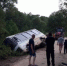 В дубровской деревне с моста упал автобус. Пострадавших нет - Bryansk.News