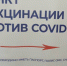 На Брянщине за неделю июля COVID-19 унес жизни 78 человек - Телеканал Городской