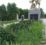 Брянский город Фокино стал похож на джунгли - Телеканал Городской