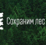 Брянцев приглашают присоединиться к акции «Сохраним лес» - Брянская Учительская газета