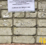 В Брянске оригинально решили приучить к чистоте магазинных «курилок» - Газета Брянские новости